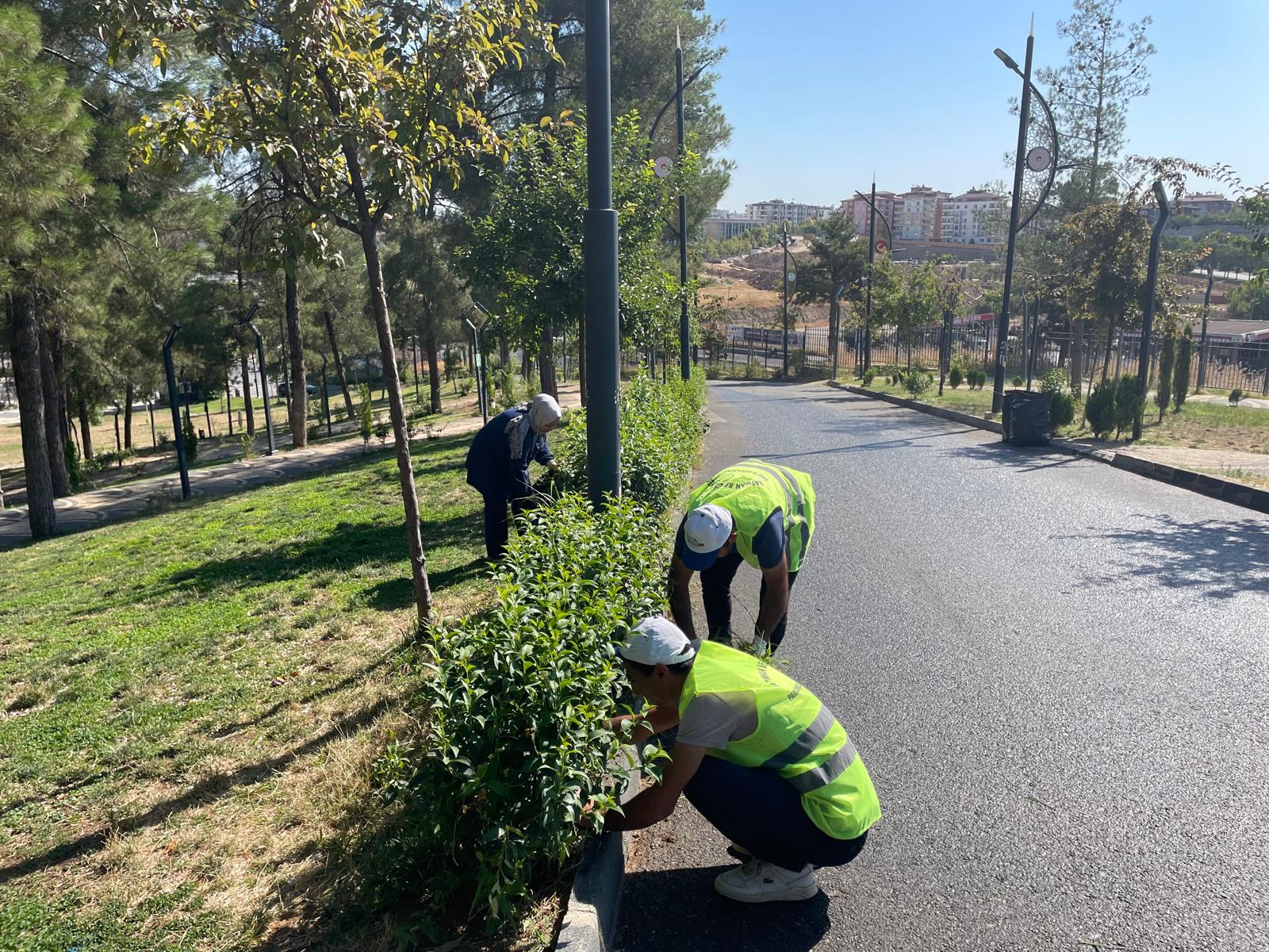 Batman Belediyesi'nden 227 Parkta Kapsamlı Sonbahar Seferberliği