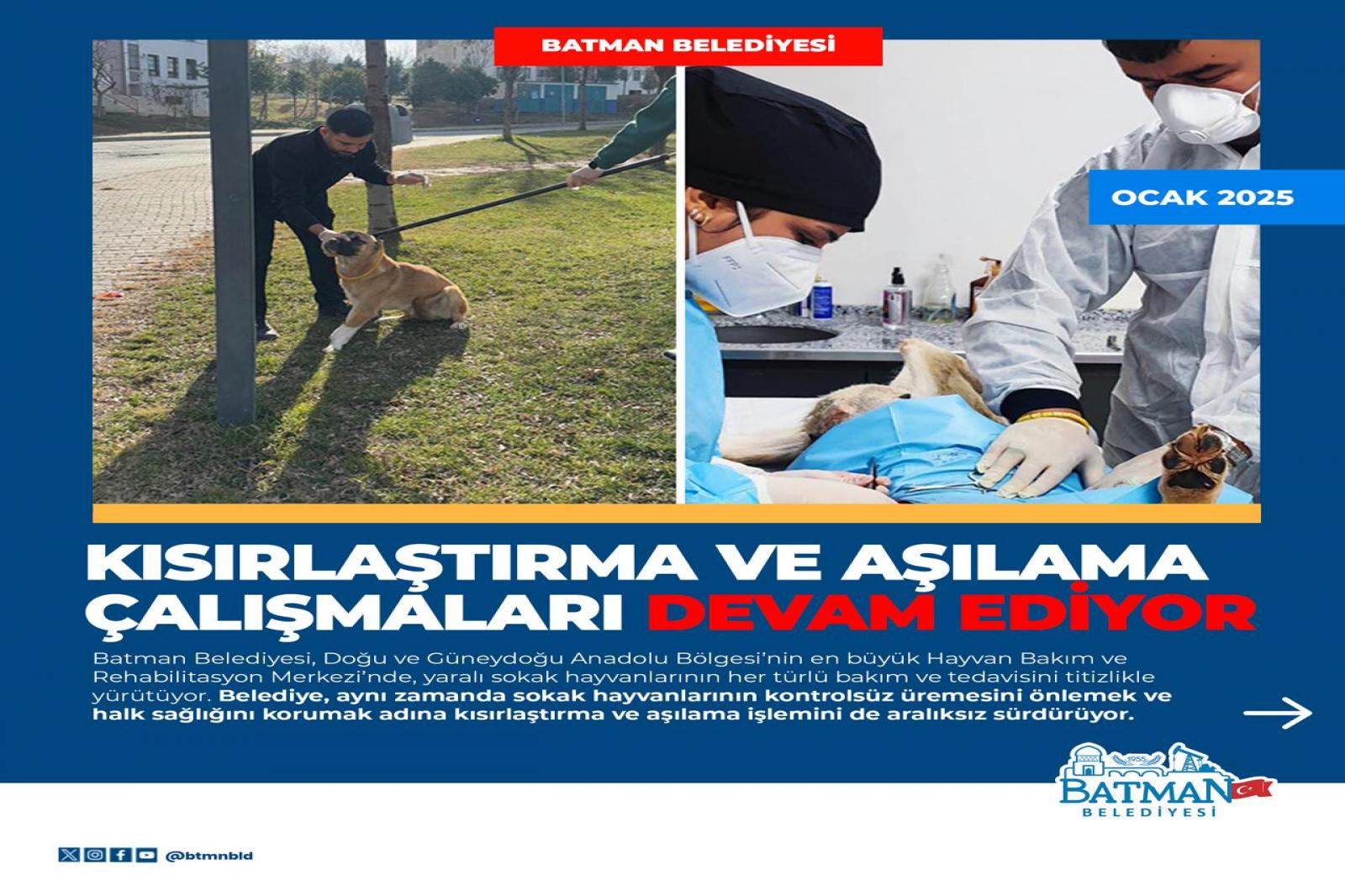 KISIRLAŞTIRMA VE AŞILAMA ÇALIŞMALARI DEVAM EDİYOR