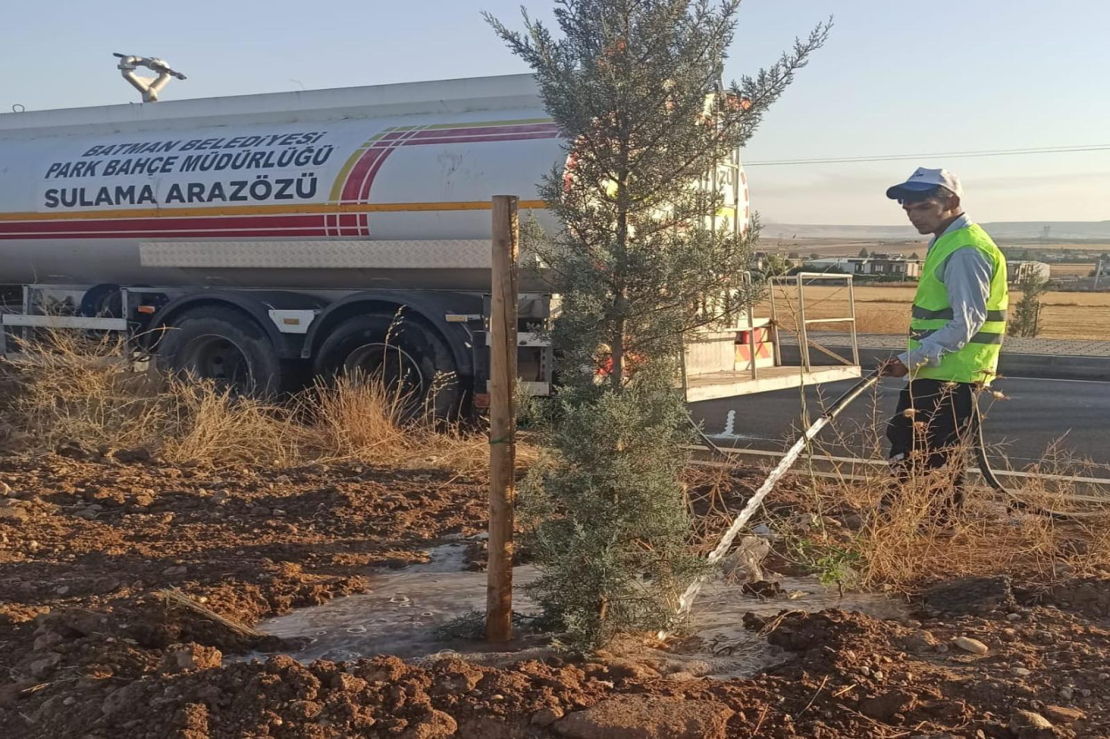 BELEDİYEDEN AĞAÇ VE FİDANLARA CAN SUYU