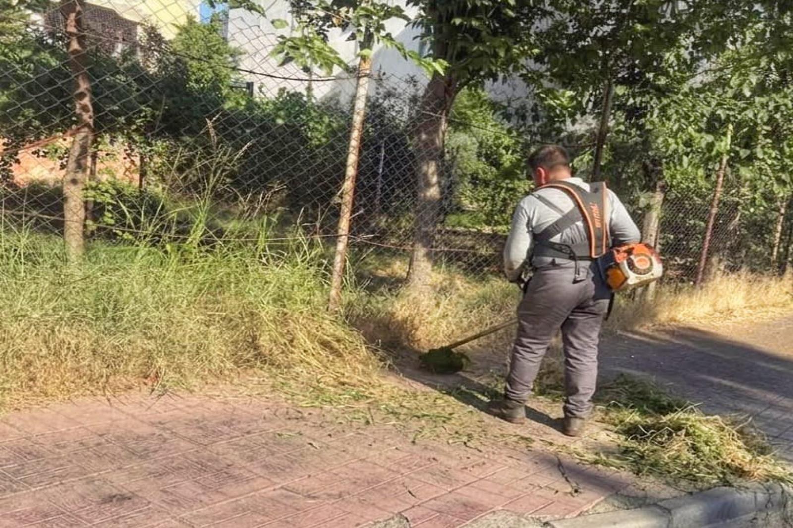 KALDIRIMLARDAKİ YABANİ OTLAR TEMİZLENİYOR