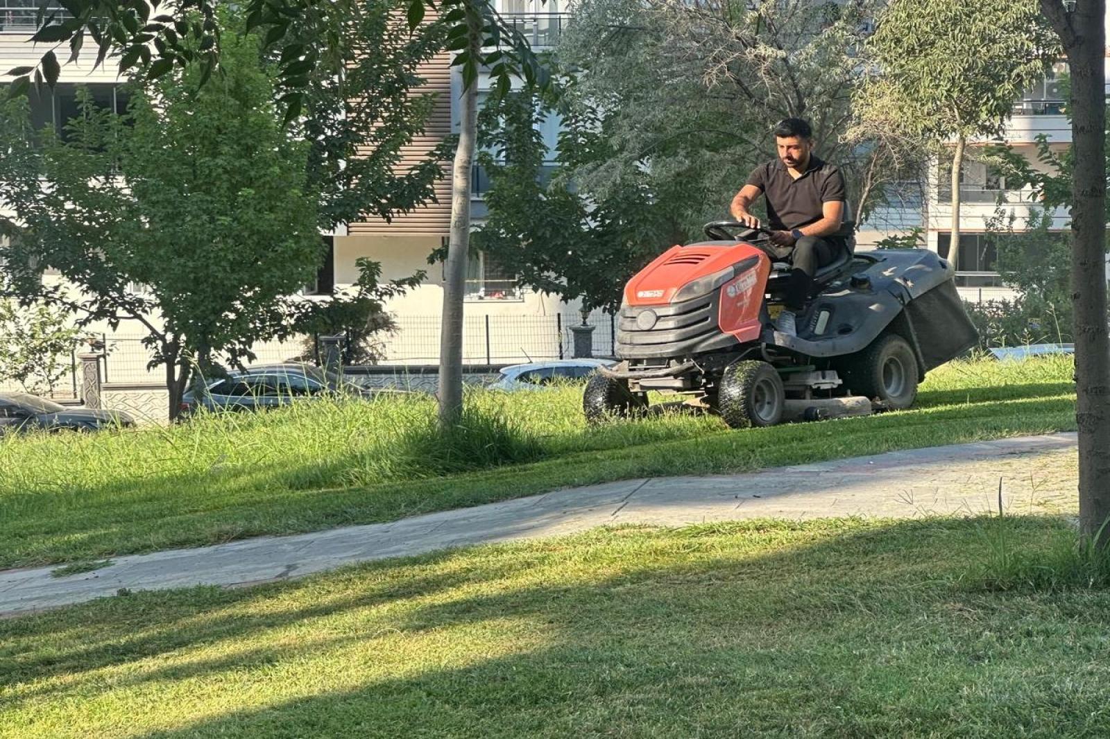 Yeşil Dokuya Estetik Görünüm
