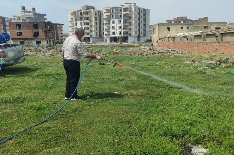 diğer-görseller
