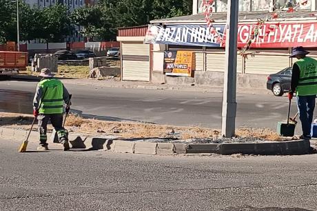 diğer-görseller