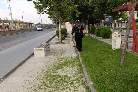 diğer-görseller
