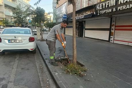 diğer-görseller